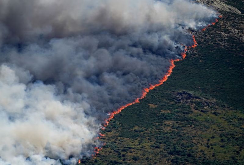 World News: Spain declares national emergency over wildfires near Madrid and in Avila